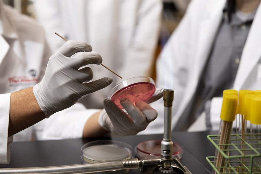 Students in Lab