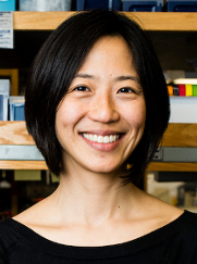Dr. Aimee Shen